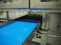 Pnd fruit processing machinery - afbeelding 11 van  25