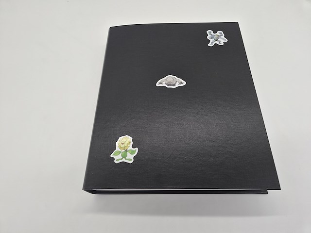 Pokémon kaartencollectie met twee verzamelmappen, vintage, holo en deckboxen - afbeelding 8 van  26