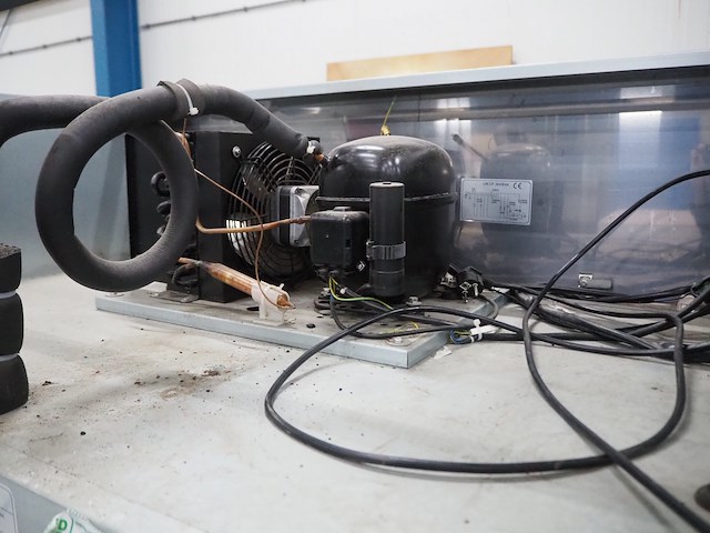 Polar - afbeelding 6 van  7