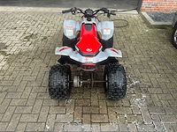 Polaris - predator 90 - quad - afbeelding 6 van  6