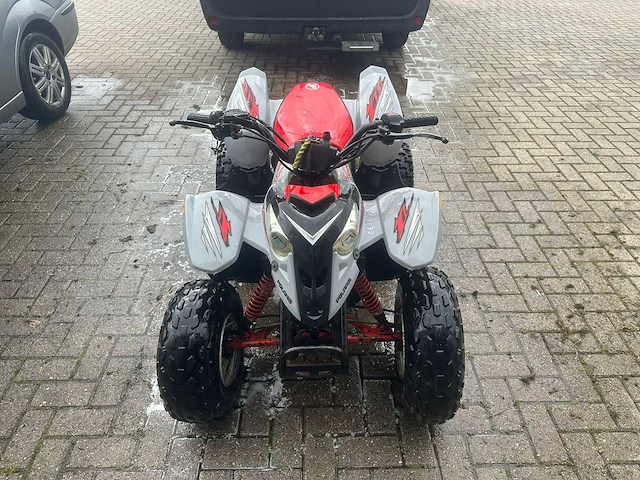 Polaris - predator 90 - quad - afbeelding 6 van  6