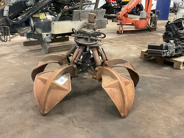 Poliepgrijper - afbeelding 2 van  7