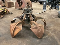 Poliepgrijper - afbeelding 3 van  7