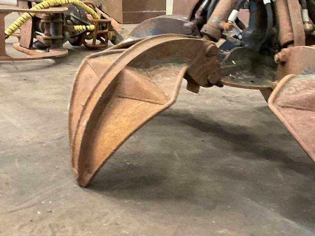 Poliepgrijper - afbeelding 5 van  7