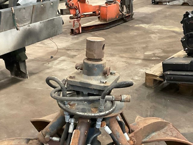 Poliepgrijper - afbeelding 6 van  7