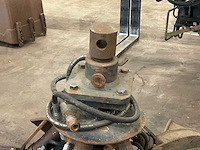 Poliepgrijper - afbeelding 7 van  7