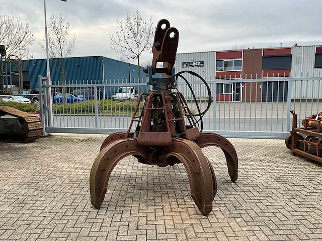 Poliepgrijper - afbeelding 1 van  6