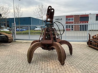 Poliepgrijper - afbeelding 1 van  6