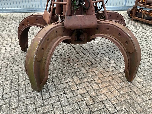 Poliepgrijper - afbeelding 2 van  6