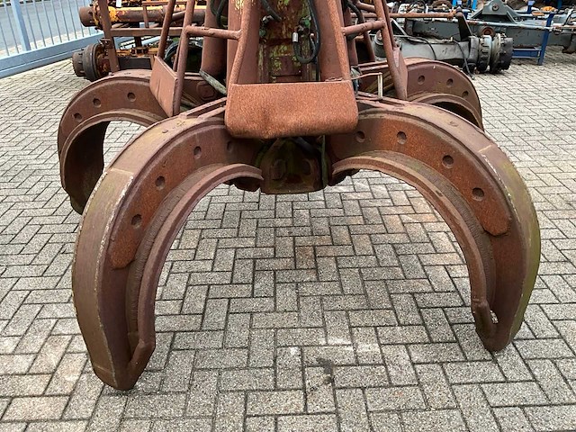 Poliepgrijper - afbeelding 3 van  6