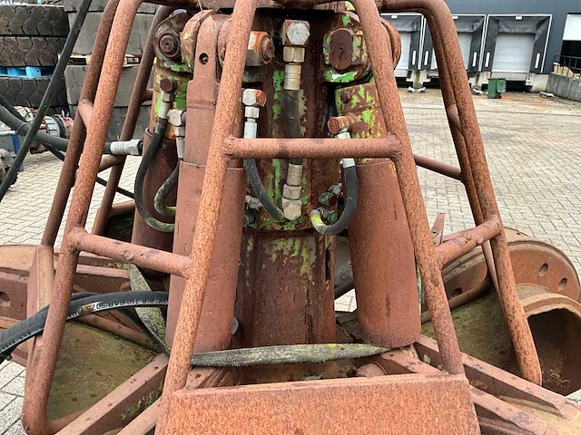 Poliepgrijper - afbeelding 5 van  6