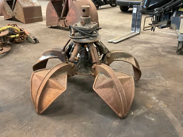 Poliepgrijper - afbeelding 3 van  7