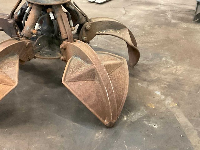 Poliepgrijper - afbeelding 4 van  7