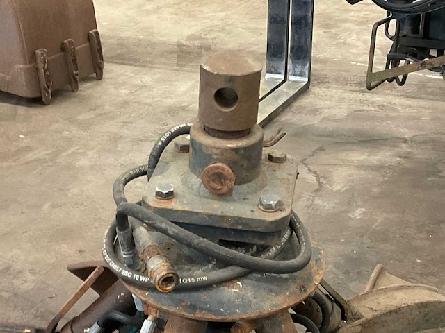 Poliepgrijper - afbeelding 7 van  7