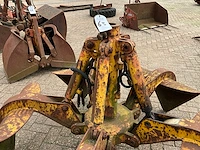 Poliepgrijper - afbeelding 5 van  6
