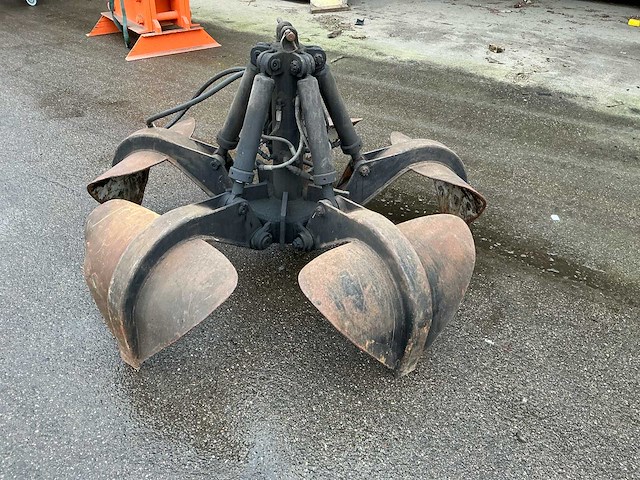 Poliepgrijper - afbeelding 2 van  6