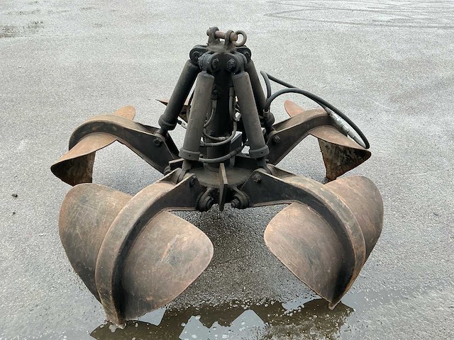 Poliepgrijper - afbeelding 4 van  6