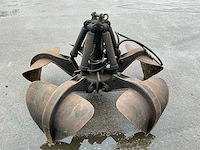 Poliepgrijper - afbeelding 4 van  6