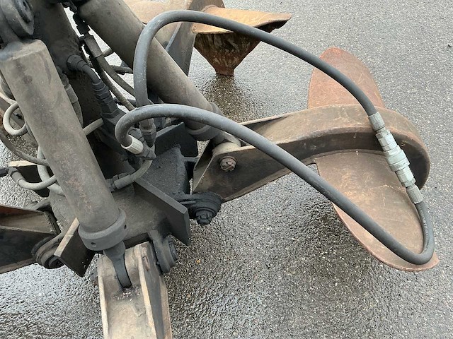 Poliepgrijper - afbeelding 5 van  6