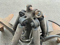 Poliepgrijper - afbeelding 6 van  6