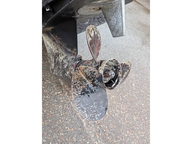 Polyerster boot met trailer - afbeelding 13 van  41