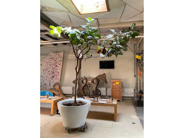 Polyester xxl plantenbak met plant - afbeelding 3 van  6