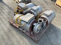 Pomac industriele rvs centrifugaalpompen - afbeelding 2 van  5
