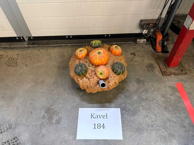 Pompoenschuiven - afbeelding 1 van  2