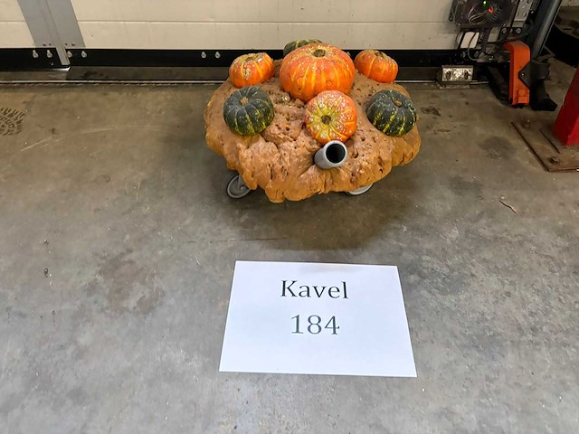 Pompoenschuiven - afbeelding 2 van  2