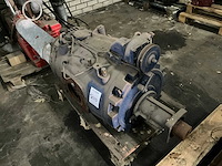 Pompunit - afbeelding 3 van  4