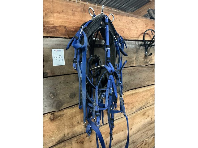 Ponytuig - afbeelding 2 van  4