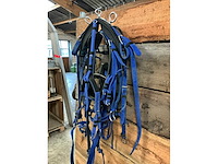 Ponytuig - afbeelding 3 van  4