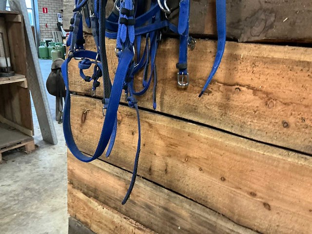 Ponytuig - afbeelding 4 van  4