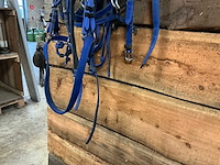 Ponytuig - afbeelding 4 van  4