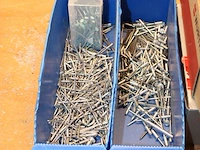 Popnagels in diverse maten en uitvoeringen. - afbeelding 2 van  3