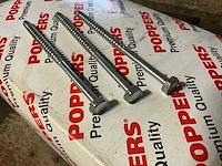 Poppers spaanplaatschroeven 6.0x100 (12500x) - afbeelding 2 van  6