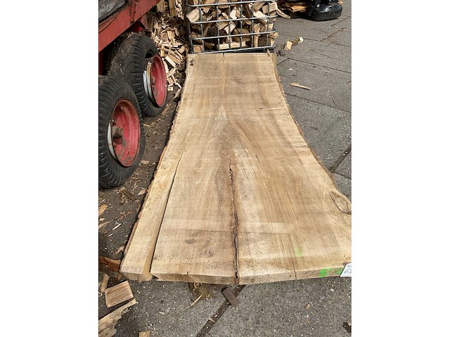 Populier stamdeel 75 mm - afbeelding 3 van  3