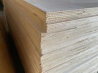 Populieren - multiplexplaat gelakt 250x122x1,2 cm (41x) - afbeelding 4 van  4