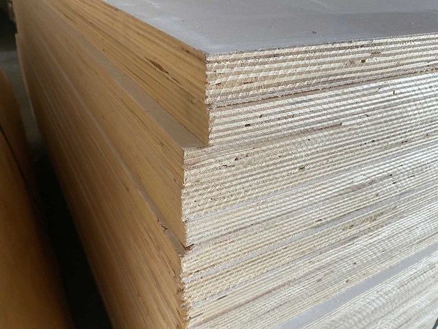 Populieren - multiplexplaat gelakt 250x122x1,2 cm (42x) - afbeelding 6 van  7