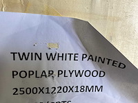 Populieren - multiplexplaat gelakt 250x122x1,8 cm (16x) - afbeelding 6 van  7