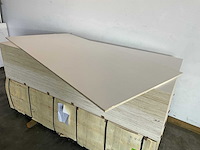 Populieren - multiplexplaat gelakt 310x153x0,9 cm (10x) - afbeelding 2 van  2