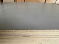 Populieren - multiplexplaat gelakt 310x153x1,2 cm (10x) - afbeelding 2 van  2