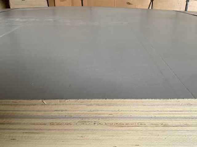 Populieren - multiplexplaat gelakt 310x153x1,2 cm (10x) - afbeelding 2 van  3