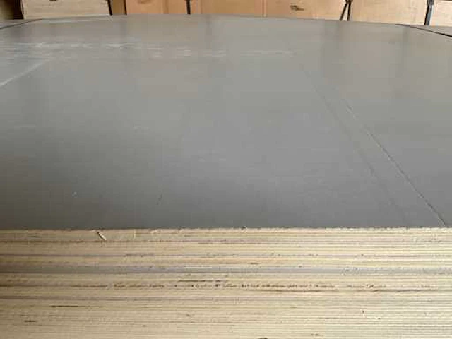 Populieren - multiplexplaat gelakt 310x153x1,2 cm (10x) - afbeelding 3 van  5