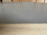 Populieren - multiplexplaat gelakt 310x153x1,2 cm (10x) - afbeelding 3 van  5