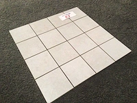 Porcelaingres radical shabby white mat mozaïektegel 30x30 cm 10,91 m² - afbeelding 3 van  5