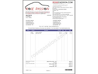 Porsche cayenne 4.5s 2004 | a4-98-85 - afbeelding 36 van  44