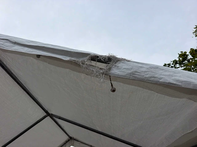 Port partytent - afbeelding 3 van  5