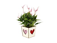 Pot love wood 13,2x13,2xh.13cm (1093x) - afbeelding 1 van  1