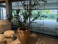 Pot met kunstplant colours&green, fishtail palm - afbeelding 1 van  5